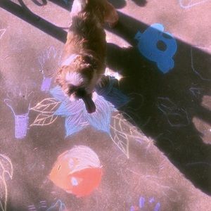 Meet your Posher, Isabella